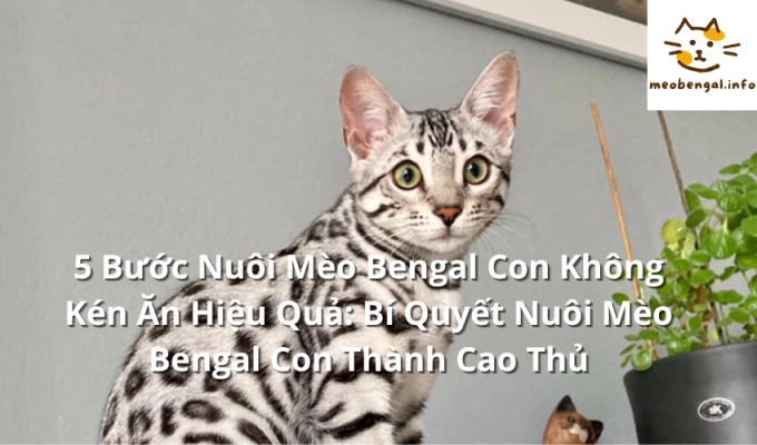 Read more about the article 5 Bước Nuôi Mèo Bengal Con Không Kén Ăn Hiệu Quả: Bí Quyết Nuôi Mèo Bengal Con Thành Cao Thủ