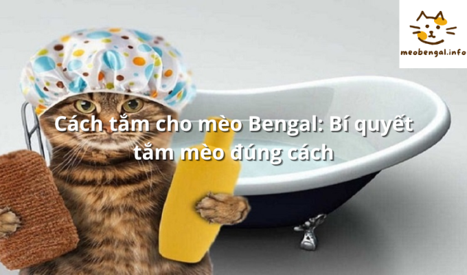 Read more about the article Cách tắm cho mèo Bengal: Bí quyết tắm mèo đúng cách