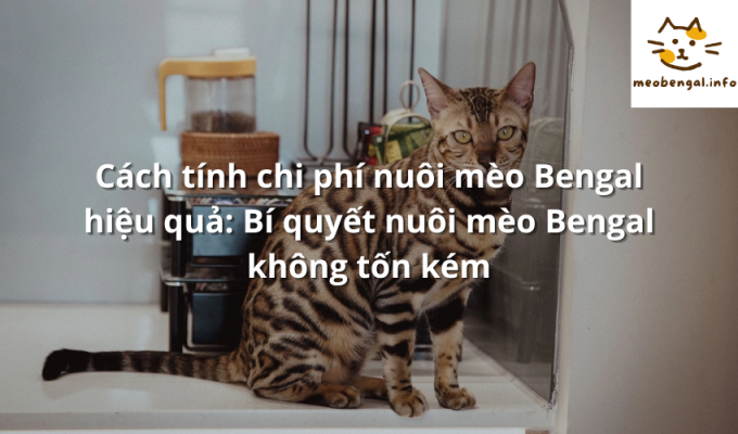 Read more about the article Cách tính chi phí nuôi mèo Bengal hiệu quả: Bí quyết nuôi mèo Bengal không tốn kém