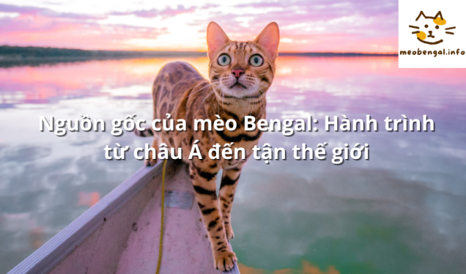 Read more about the article Nguồn gốc của mèo Bengal: Hành trình từ châu Á đến tận thế giới