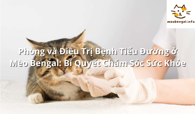 Read more about the article Phòng và Điều Trị Bệnh Tiểu Đường ở Mèo Bengal: Bí Quyết Chăm Sóc Sức Khỏe